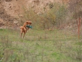 k-img_4892