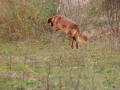 k-img_4898