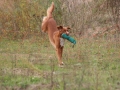 k-img_4901
