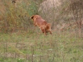 k-img_4908