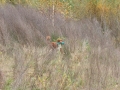 k-img_4915