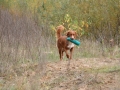 k-img_4932
