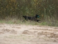 k-img_4941