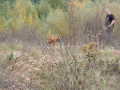 k-img_4966