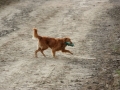 k-img_5025