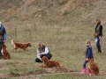k-img_5026