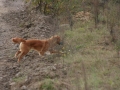 k-img_5028