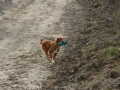 k-img_5042