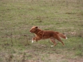 k-img_5045