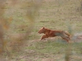 k-img_5047