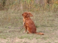 k-img_5060
