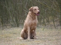 k-WT 28.03.15 (42).JPG