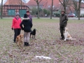 2013_02_09_drc_kohlfahrt_schneeren_002