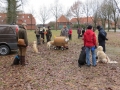 2013_02_09_drc_kohlfahrt_schneeren_003