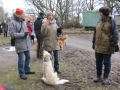 2013_02_09_drc_kohlfahrt_schneeren_020