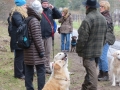 2013_02_09_drc_kohlfahrt_schneeren_023