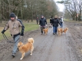 2013_02_09_drc_kohlfahrt_schneeren_027