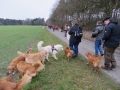 2013_02_09_drc_kohlfahrt_schneeren_029