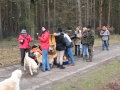 2013_02_09_drc_kohlfahrt_schneeren_041
