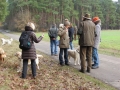 2013_02_09_drc_kohlfahrt_schneeren_052