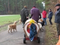 2013_02_09_drc_kohlfahrt_schneeren_055