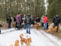 2013_02_09_drc_kohlfahrt_schneeren_059
