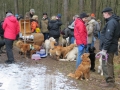 2013_02_09_drc_kohlfahrt_schneeren_062