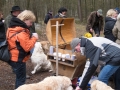 2013_02_09_drc_kohlfahrt_schneeren_064