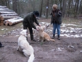 2013_02_09_drc_kohlfahrt_schneeren_069