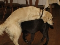 2013_02_09_drc_kohlfahrt_schneeren_095