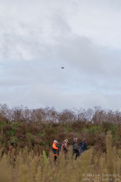 k-IMG_5232