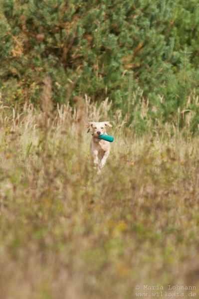 k-IMG_5640