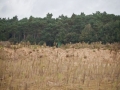 k-IMG_5173