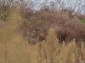 k-IMG_5188