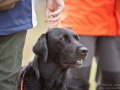 k-IMG_5210-2