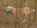 k-IMG_5365
