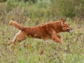 k-IMG_5624