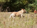 k-IMG_5639