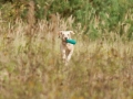 k-IMG_5640