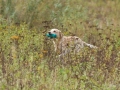k-IMG_5657