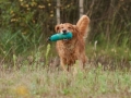k-IMG_5672