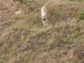 k-IMG_5682