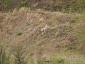 k-IMG_5684