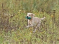 k-IMG_5692