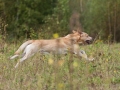k-IMG_5696