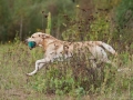k-IMG_5709