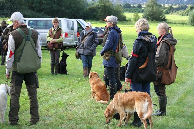 k-Mocktrial (2)