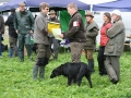 k-Mocktrial (19)