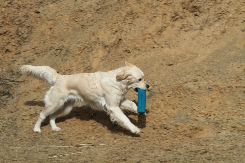 drc_schnupper_workingtest_april_2013-101