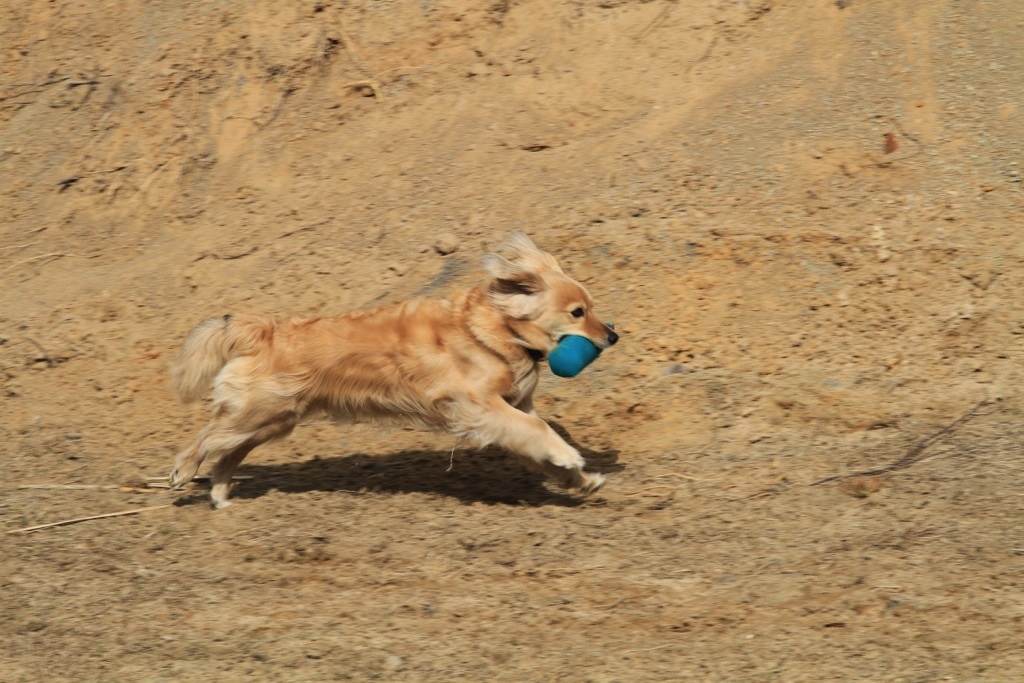 drc_schnupper_workingtest_april_2013-107